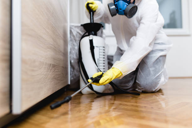 Best Affordable Pest Control Services  in Bagdad, FL