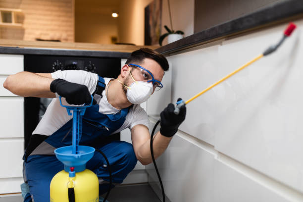 Best Exterminator Services  in Bagdad, FL