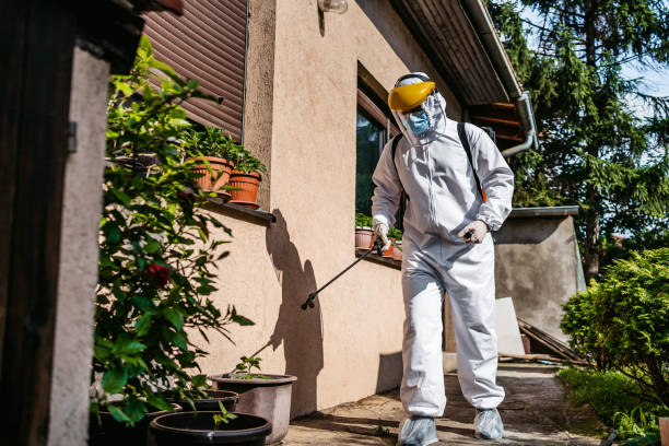 Best Pest Removal Services  in Bagdad, FL