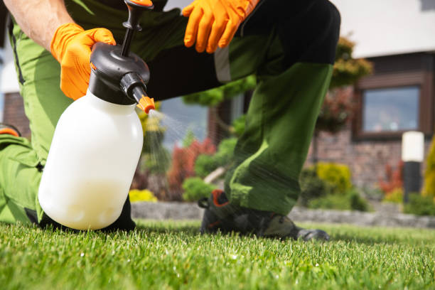 Best Cockroach Control Services  in Bagdad, FL