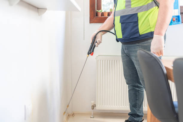 Flea Control Services in Bagdad, FL