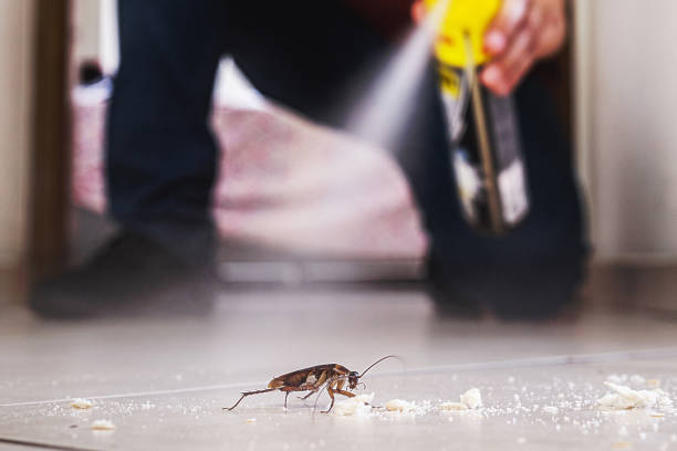 Best Commercial Pest Control Services  in Bagdad, FL